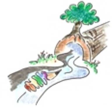 Fermiamo i lavori di disboscamento sul fiume Maira a Savigliano